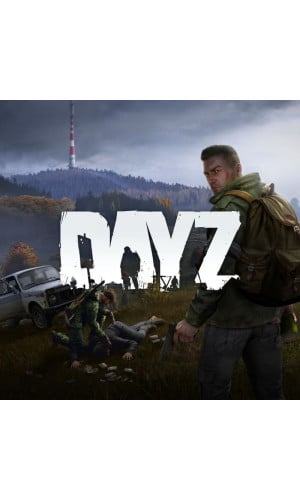 DayZ Standalone Cd Key EU Steam 