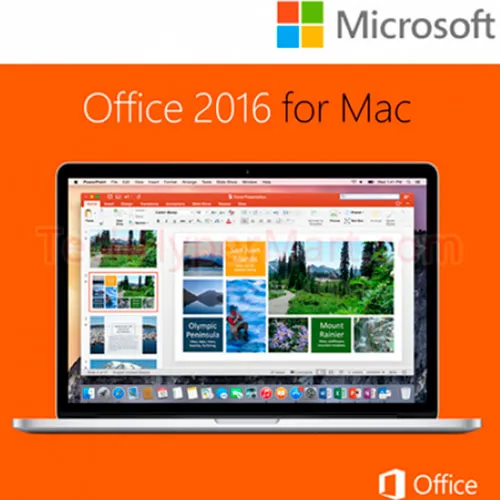 Buy Microsoft Office 2016 Home and Business MAC Cd Key Global