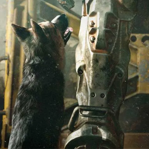 Buy Fallout 4 Cd Key Steam Global CD Key